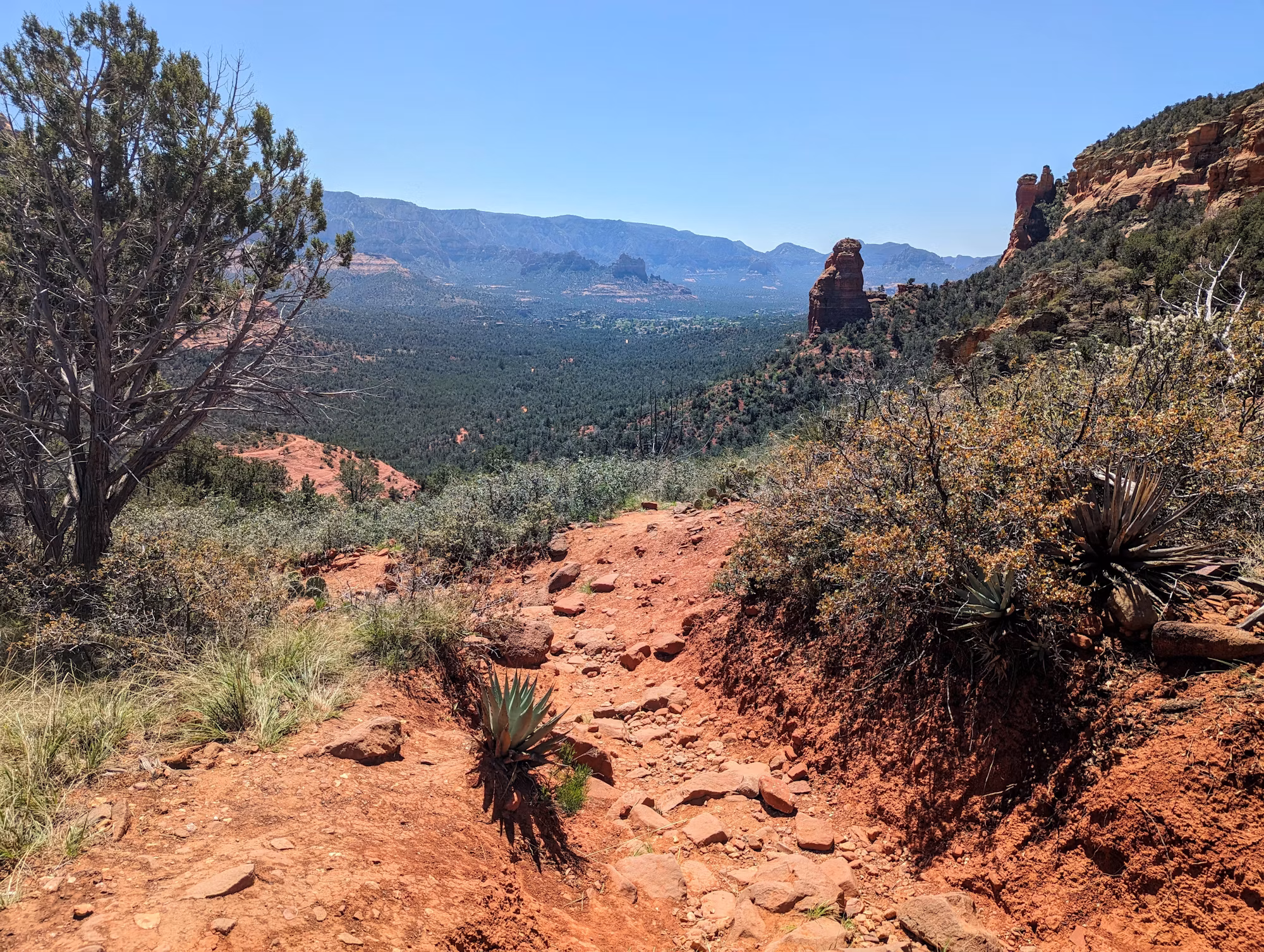 The Art of Hiking Etiquette: Respecting Nature and Fellow Hikers